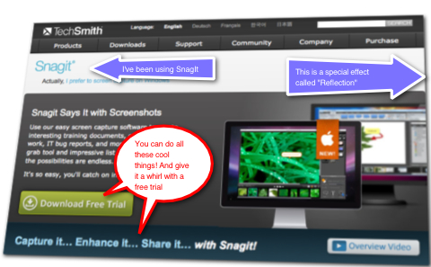 snagit example